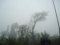  Fog in Burundian mountains.